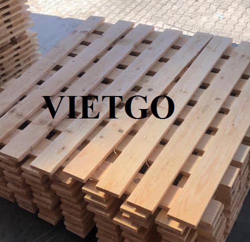 Cơ hội xuất khẩu 5 container 40ft gỗ thông xẻ sang thị trường Ai Cập