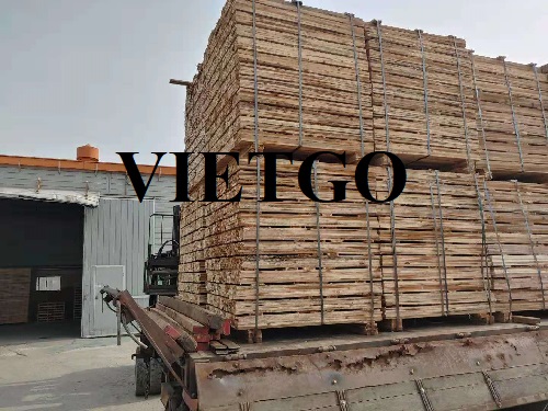 Cơ hội xuất khẩu 5 container 40ft gỗ keo xẻ hàng tháng sang thị trường Hàn Quốc