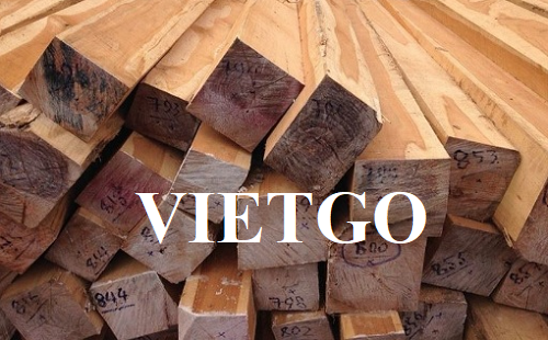 Cơ hội xuất khẩu thường xuyên gỗ teak xẻ sang thị trường Montenegro