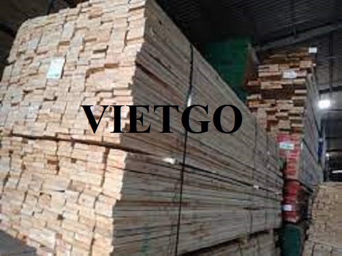 Thương vụ xuất khẩu gỗ thông xẻ sang thị trường Bỉ