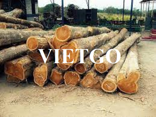 Thương vụ xuất khẩu gỗ teak tròn sang thị trường Trung Quốc