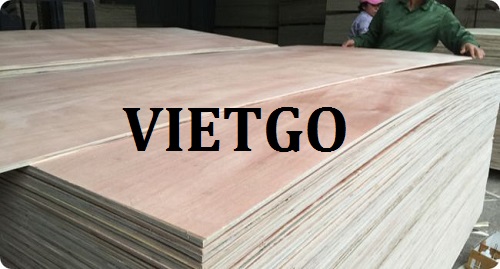 Thương vụ xuất khẩu gỗ dán sang thị trường Hàn Quốc