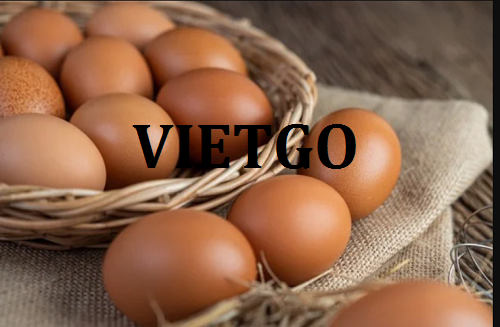 Cơ hội xuất khẩu trứng gà sang thị trường Maldives