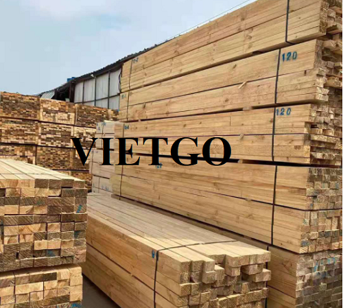 Thương vụ xuất khẩu gỗ thông xẻ sang thị trường Úc