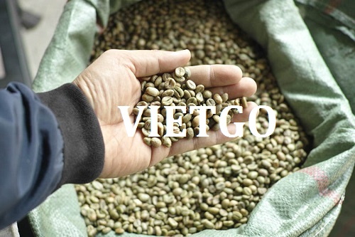 Thương vụ xuất khẩu hạt cà phê sang thị trường Ireland