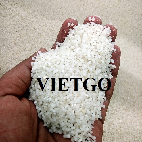 Thương vụ xuất khẩu gạo trắng sang thị trường Trung Quốc