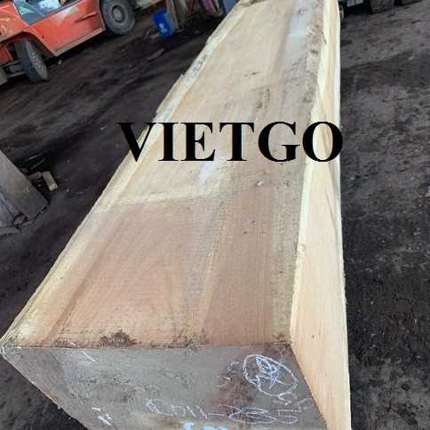 Thương vụ xuất khẩu gỗ gõ xẻ hộp sang thị trường Việt Nam