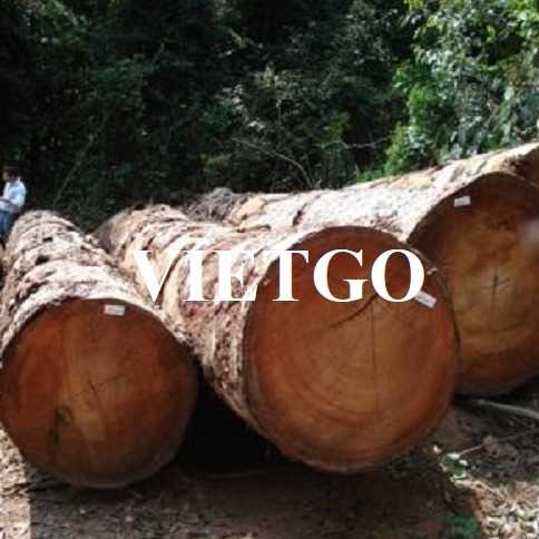 Thương vụ xuất khẩu gỗ xoan đào tròn sang thị trường Việt Nam