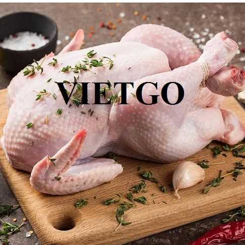 Thương vụ xuất khẩu thịt gà sang thị trường Ai Cập