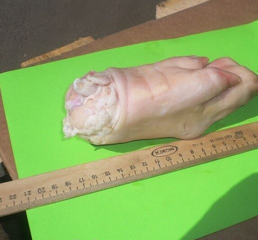 Giải cứu lợn: Đơn hàng nghìn tấn cho nông dân xuất khẩu lợn chính ngạch (Báo dantri.com.vn phỏng vấn VIETGO)
