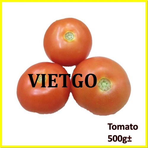 Cơ hội xuất khẩu Cà chua và Rau quả cho một doanh nghiệp nhập khẩu rau củ lớn tại Singapore và Malaysia.