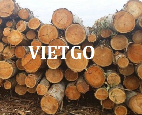 Regular Order - Opportunity Of  Exporting Eucalyptus Wood Logs To China Market.