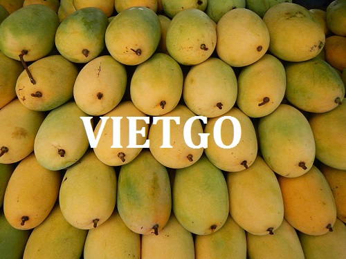Opportunity to export Fresh Mango to Bangladesh