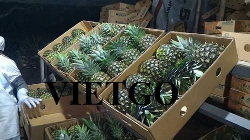 Opportunity of exporting Pineapples to Pakistan market.