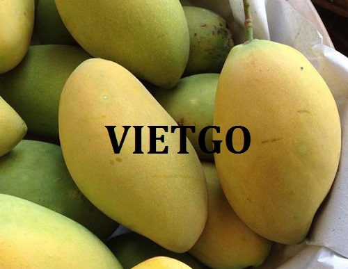 Opportunity to export fresh Mango to Russia