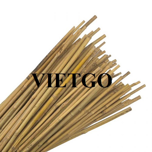 Opportunity to export large quantities of bamboo poles to the Saudi Arabian market