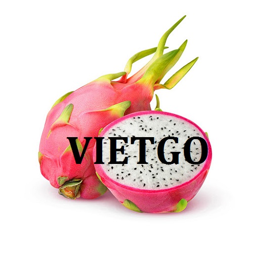 Opportunity to export dragon fruits to Dominican Republic