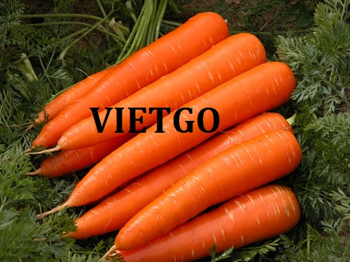 Opportunity to export Carrots to a customer from Singapore