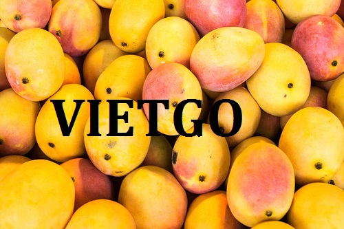 Opportunity to export fresh mango to UAE