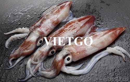 Opportunity to export 10 tons of squid per month to the Korean market