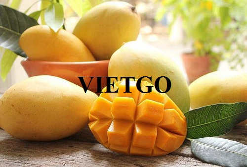 Opportunity to export fresh mangoes to Saudi Arabia