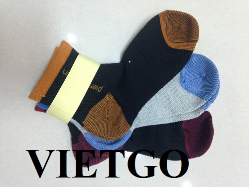 Opportunity to export socks for a large corporation in Venezuela