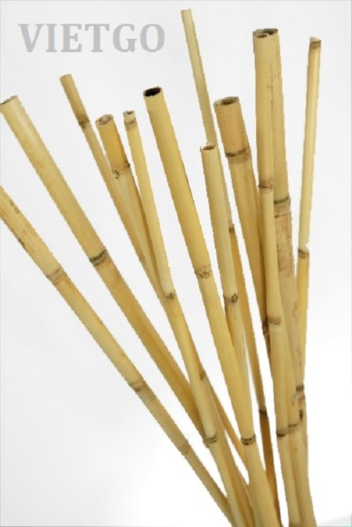 Opportunity to export 1 container 40ft bamboo poles per month to the German market