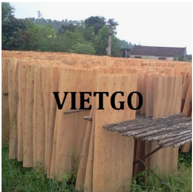 Opportunity to export eucalyptus core wood veneers to the Indian market