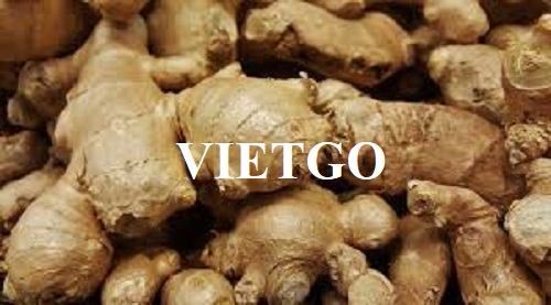 Opportunity to export fresh Ginger to Pakistan market