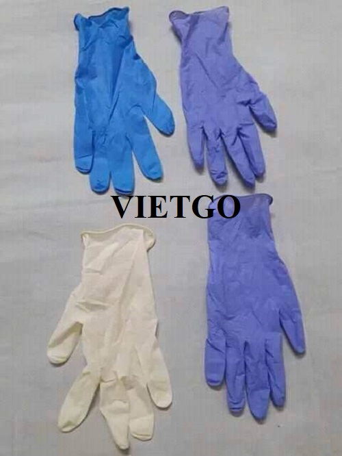 Opportunity to export 1 container 20ft of medical gloves to a company specializing in providing medical products in Bangladesh