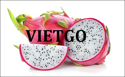 Opportunity to export dragon fruits to Egyptian market
