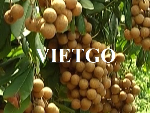 Opportunity to export longan fruit to the Russian market