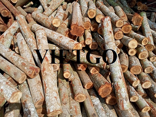 Cơ hội xuất khẩu gỗ keo tròn sang thị trường Bangladesh