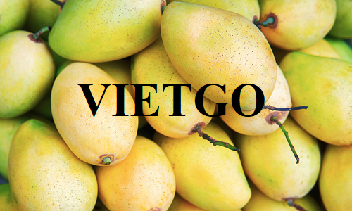 Opportunity to export fresh mangoes to the Spanish market