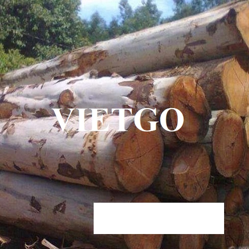 Opportunity to export 20 20ft containers of eucalyptus logs monthly to China market