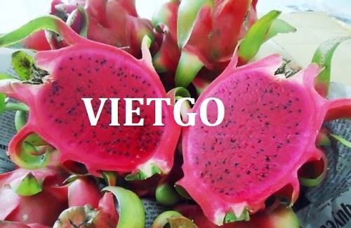 Opportunity to export dragon fruits to Bangladesh market