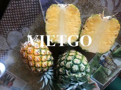 (Order for the whole year) A large import-export company in Vietnam is looking for a partner to supply a great amount of pineapple