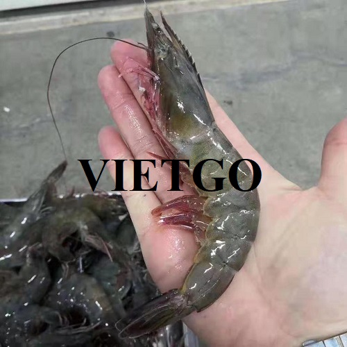 Opportunity to export 1 container 40ft of shrimp monthly to the Chinese market