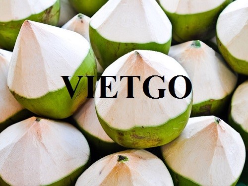 Opportunity to export fresh coconut to the UK