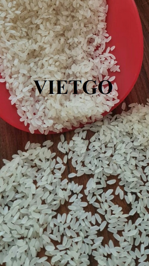 Cơ hội xuất khẩu gạo trắng sang thị trường Libya