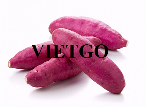 A company specializing in the production of dried sweet potatoes in Vietnam is looking for a supplier of sweet potato products