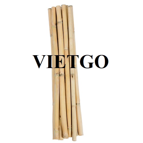 Opportunity to provide 80,000 bamboo poles to a nursery in the UK
