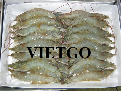 Opportunity to export 1 40ft container of frozen vannamei shrimp to the Egyptian market
