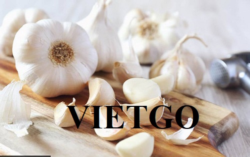 Opportunity to export white garlic for a business specializing in trading spices in India