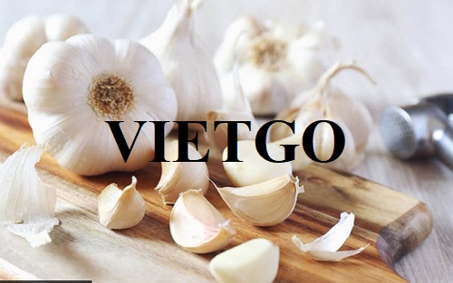 Opportunity to export white garlic to the UK market