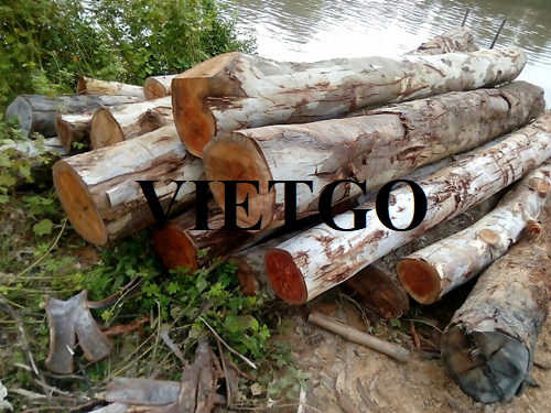 Opportunity to export eucalyptus logs to the Chinese market