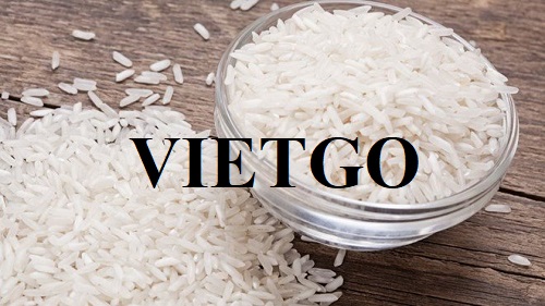 Cơ hội xuất khẩu Gạo sang thị trường Sierra Leone