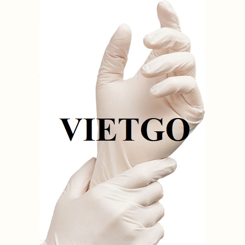 Opportunity to export medical gloves to the Dubai market
