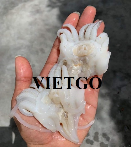 Opportunity to supply cuttlefish heads for a seafood company in Thailand