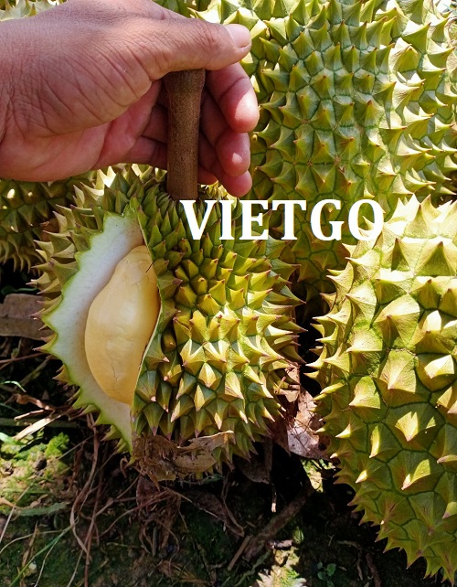 Opportunity to export durian to the Japanese market